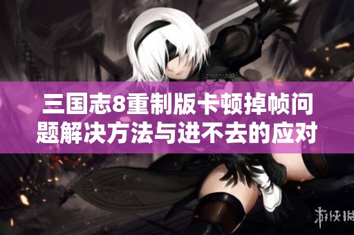 三国志8重制版卡顿掉帧问题解决方法与进不去的应对策略