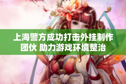 上海警方成功打击外挂制作团伙 助力游戏环境整治