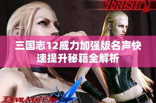 三国志12威力加强版名声快速提升秘籍全解析
