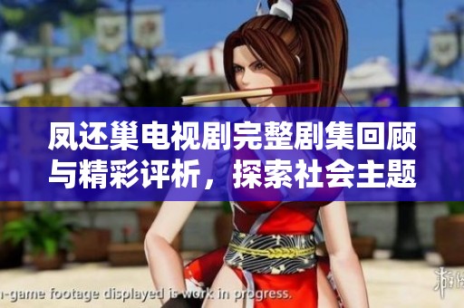凤还巢电视剧完整剧集回顾与精彩评析，探索社会主题深意