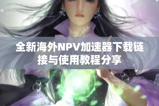 全新海外NPV加速器下载链接与使用教程分享