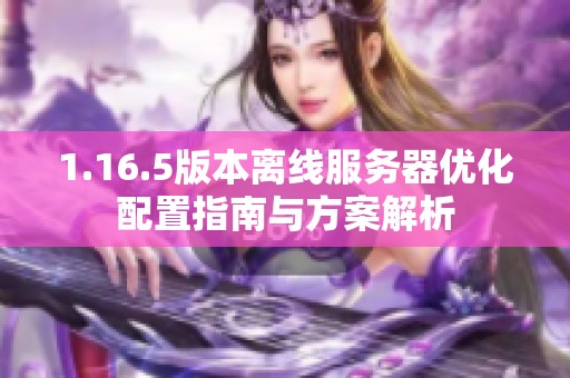 1.16.5版本离线服务器优化配置指南与方案解析