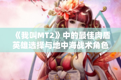 《我叫MT2》中的最佳肉盾英雄选择与地中海战术角色解析