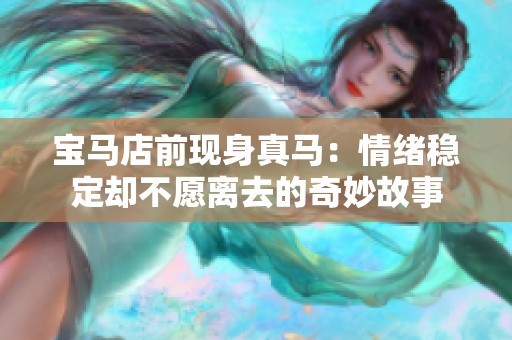 宝马店前现身真马：情绪稳定却不愿离去的奇妙故事
