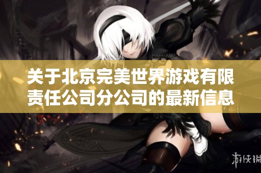 关于北京完美世界游戏有限责任公司分公司的最新信息查询与分析