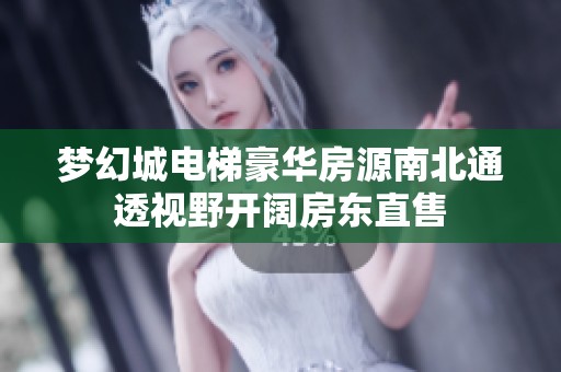 梦幻城电梯豪华房源南北通透视野开阔房东直售