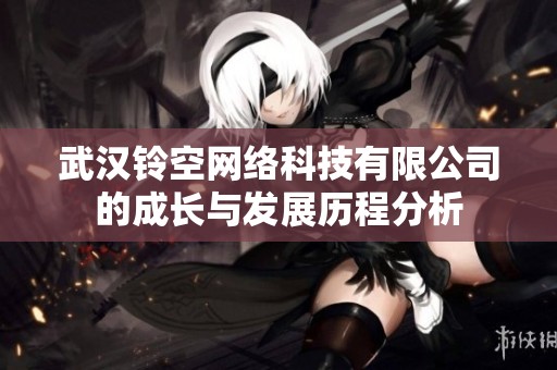 武汉铃空网络科技有限公司的成长与发展历程分析