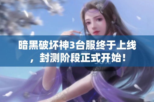 暗黑破坏神3台服终于上线，封测阶段正式开始！