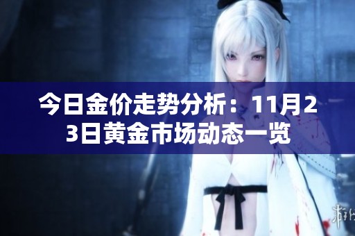 今日金价走势分析：11月23日黄金市场动态一览