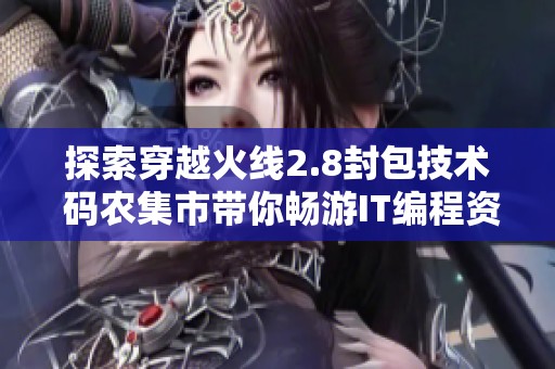 探索穿越火线2.8封包技术 码农集市带你畅游IT编程资源