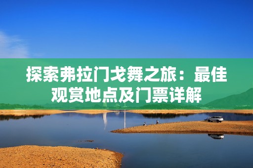 探索弗拉门戈舞之旅：最佳观赏地点及门票详解