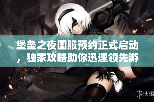 堡垒之夜国服预约正式启动，独家攻略助你迅速领先游戏竞争者