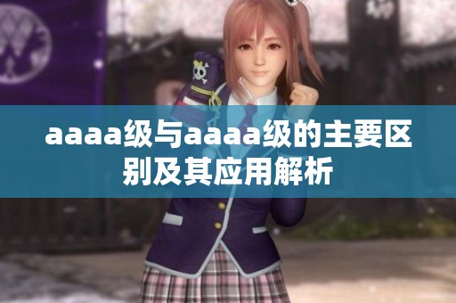 aaaa级与aaaa级的主要区别及其应用解析
