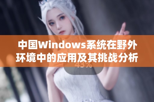 中国Windows系统在野外环境中的应用及其挑战分析